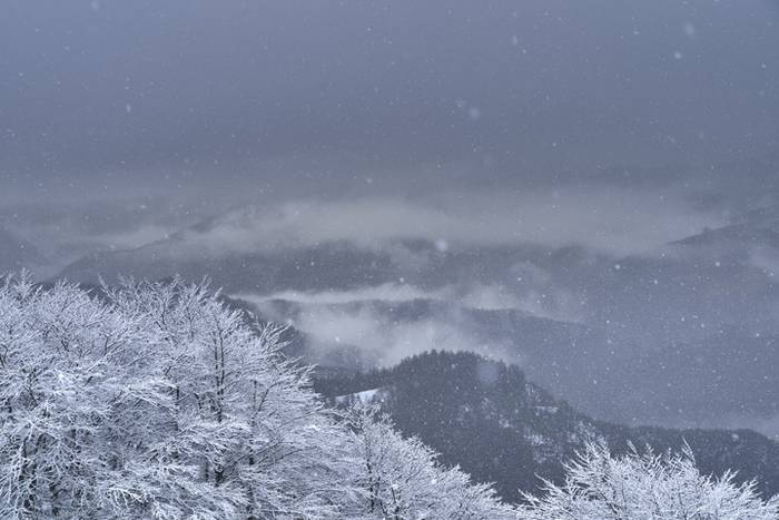 Negu Trail lasterketaren bes 5 1517853549600