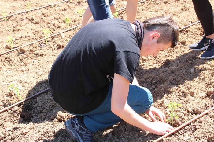 Erein dituzte lehen piperrak 31 1559303479166