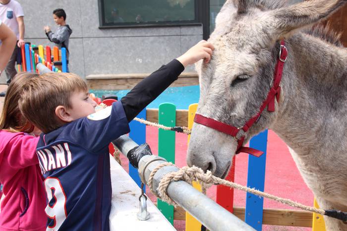 Piperra baino askoz gehiago 81 1505655143244