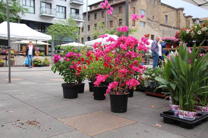 Lore eta Landare Azoka Tolosan 2016 24 1465051790940