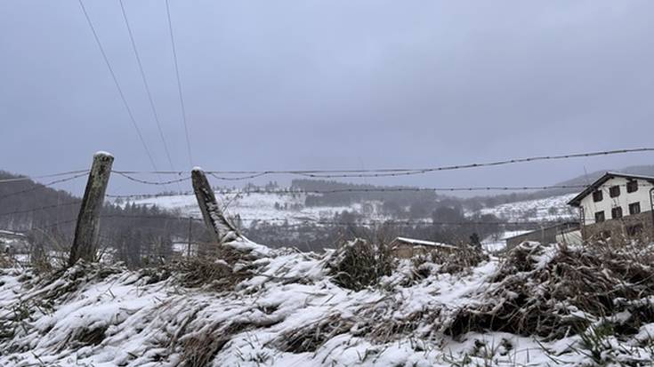 Tolosaldea zurituta Errege egunean