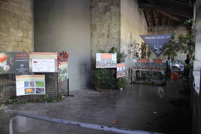 Euskaldunak asetzeko festa 38 1570976332156