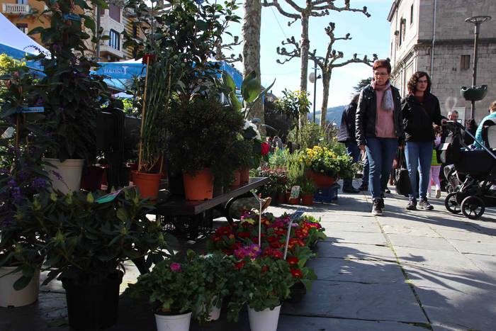 Tolosako Lore eta Landare Az 26 1549717214675