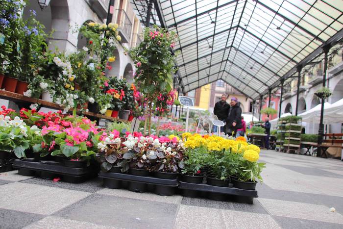 Lore eta Landare Azoka 2019 1 1558171893621