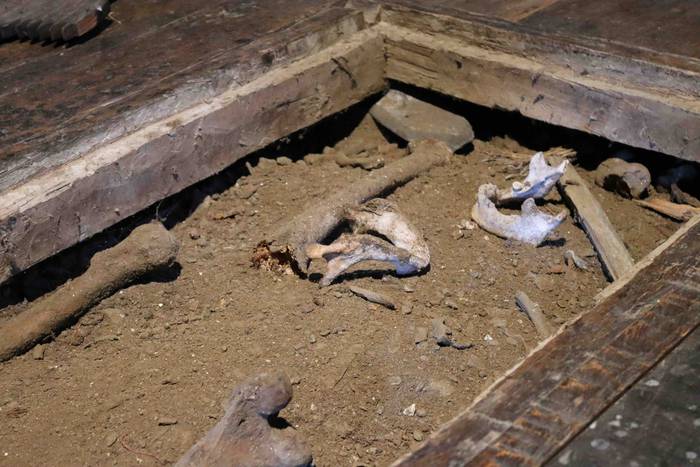 Amezketa, argi ezkutuaren bi 21 1595176140057