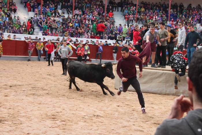 Inauteriak 2020, zezenak Ost 27 1582222554604