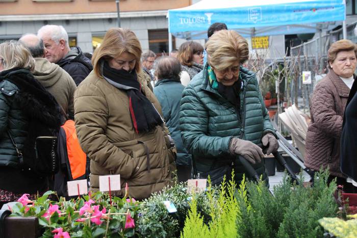 Erein eta zaintzearen magiak 10 1581165929439