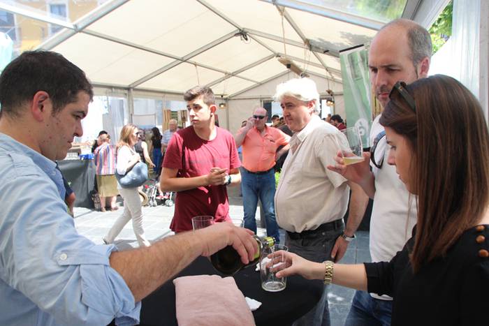 Sagardo Fest giroa eta kata 15 1497103789839