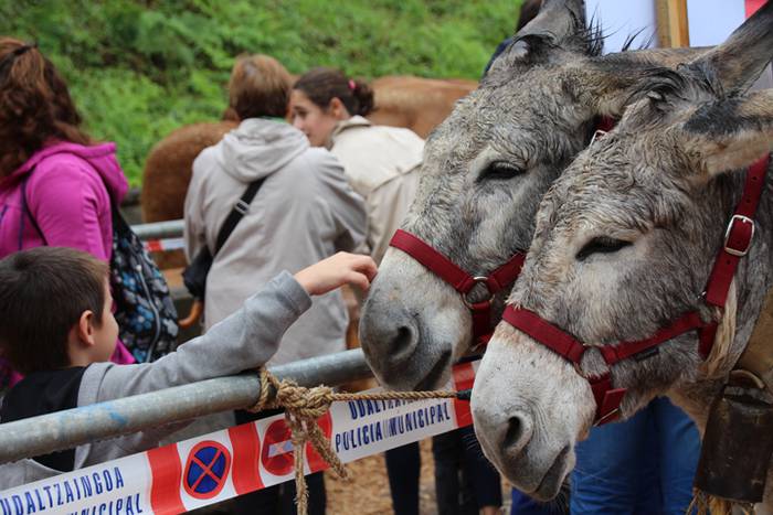 Ibarra, azoka eta piparra 75 1474219191630