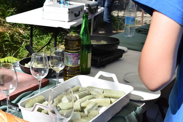 Piper landaketa Ibarran, 201 2 1494844255734