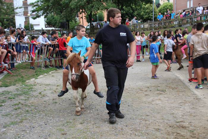 Zezenen aurretik, korrika 8 1469619526441