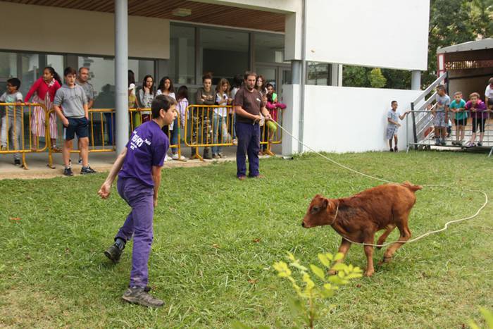 Ikaztegietako Jaiak 2017, um 20 1502457283961