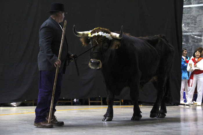 Zilarrezko inauteriak piztu  20 1517060999581