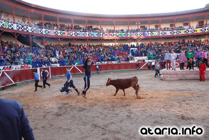 ostegun gizena 2016 zezen plaza 112 1454608297153