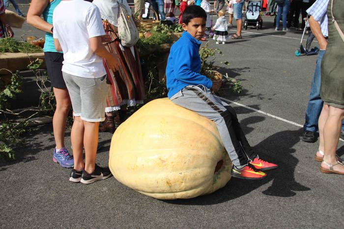 Euskaldunak asetzeko festa 29 1570976326885