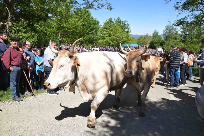 Larrerati dituzte abereak Ar 42 1556716308747