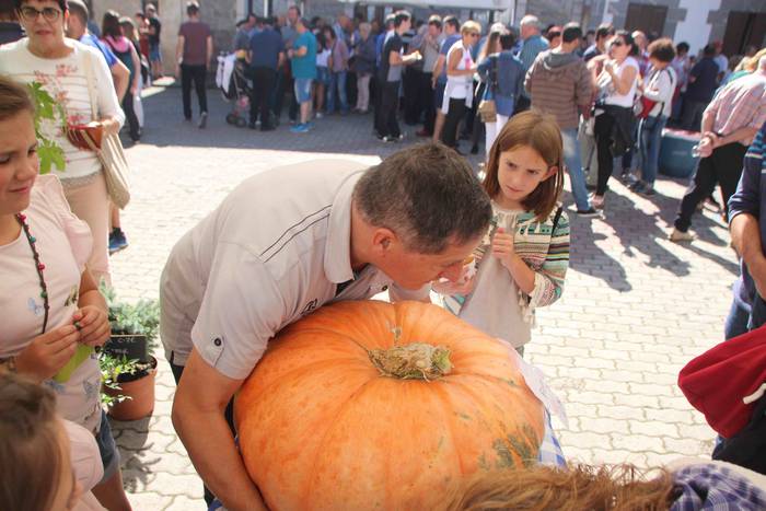 Bidania Goiatz Azoka Berezia 35 1538321651082