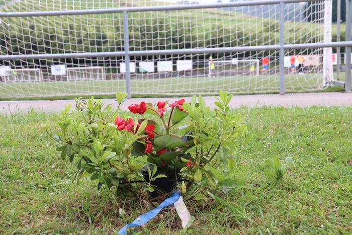 Billabonak irabazi du VI. Ma 4 1654514500780