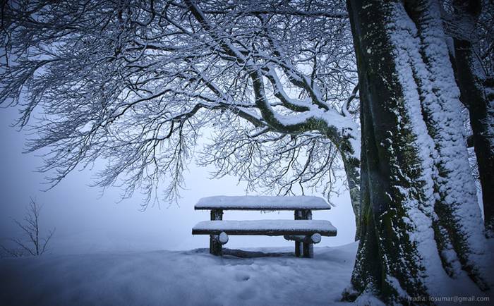 Negu Trail lasterketaren bes 7 1517853560261