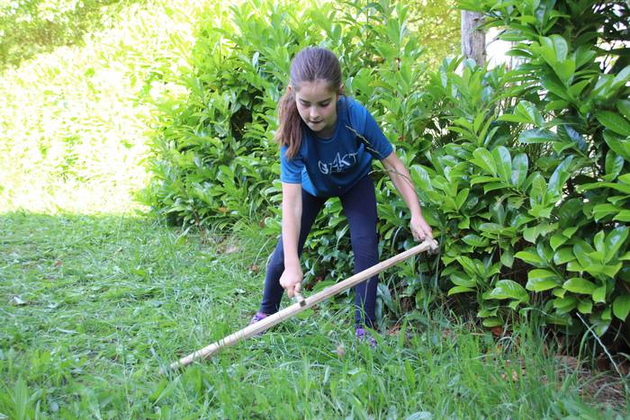 Segak badu bere harrobia 9 1655459017857