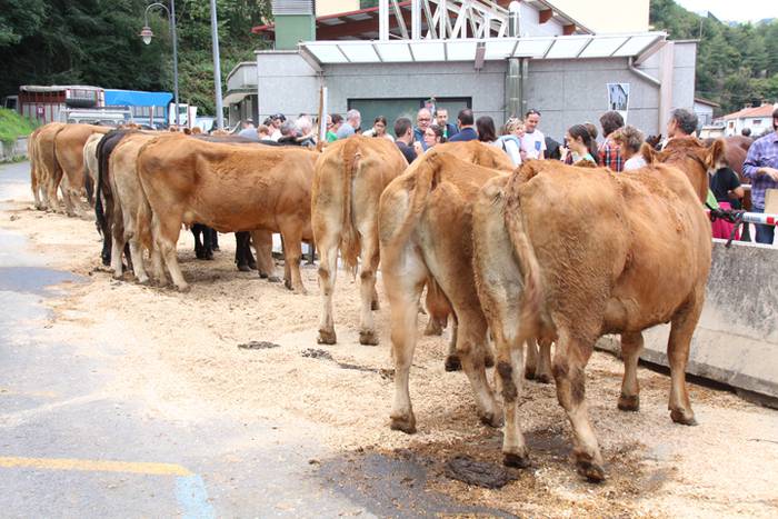 Piperra baino askoz gehiago 78 1505655122298