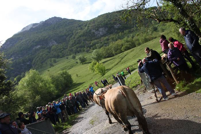 Maiatzak 1, Larre Irekiera E 22 1525187058532