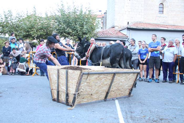 Gazteak nagusi, ximaurra gar 38 1507490650606