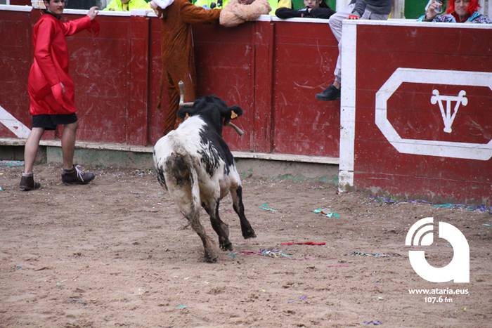 Zezenak adarrak okerrak ditu 65 1488277536991