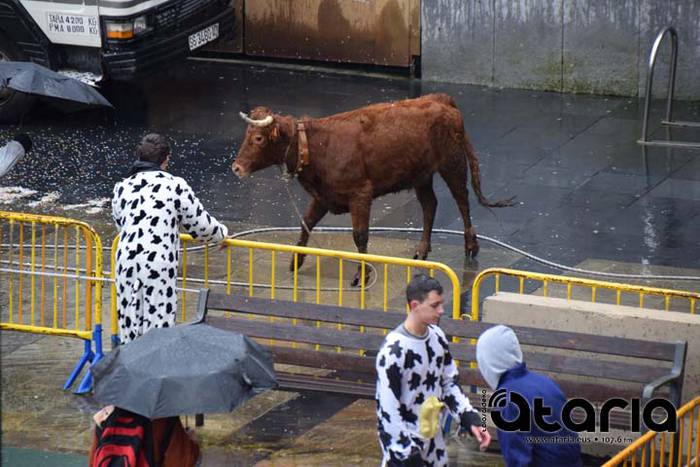 Inauteriak 2018, sokamuturra 36 1518438002873