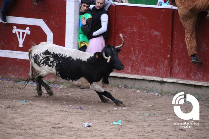 Zezenak adarrak okerrak ditu 60 1488277506700