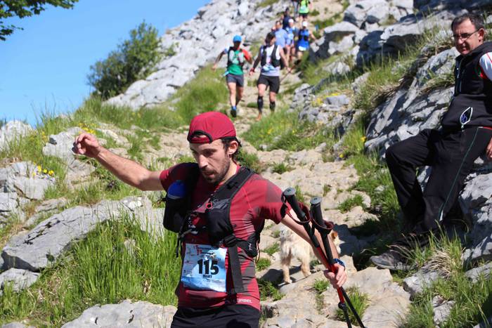 T3T, Hernio 2019 61 1560688433735