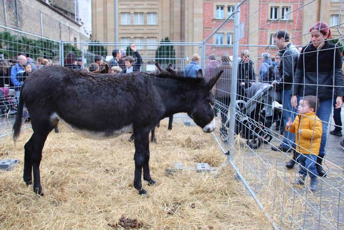 Gabonetako azokak jende asko 23 1576941756742