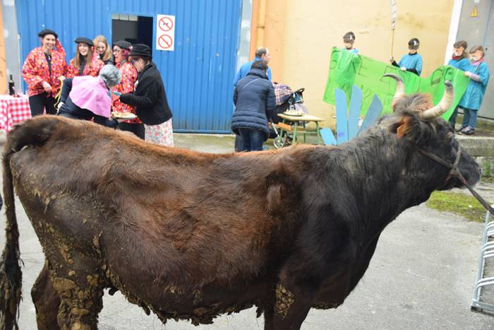 Lizartzako inauteriak, 2017, 15 1486821575071