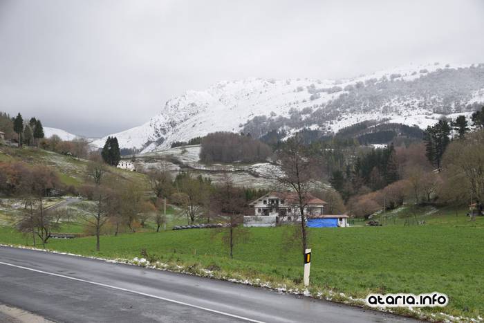 lehen elurtea 2016 2 1455547611962