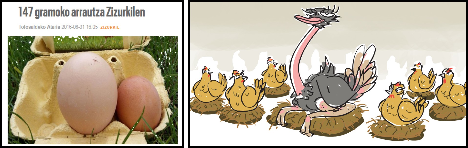 Komikia: 147 gramoko arrautza Zizurkilen
