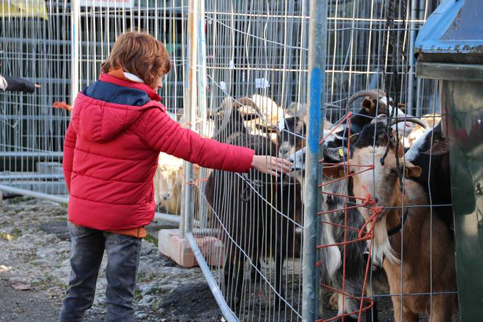 Denetik eta denentzat, Bedai 34 1541343632860