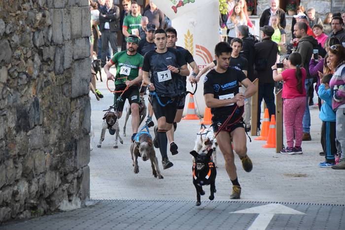 III. Txakur Krosa, Zizurkil 1 1523728597285