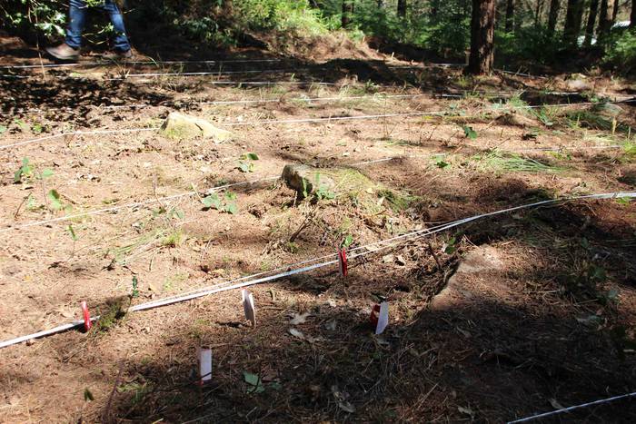 Gerra 28 1562842949539