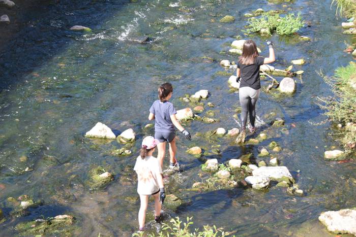 auzolana, ibarran 1 1499249905512