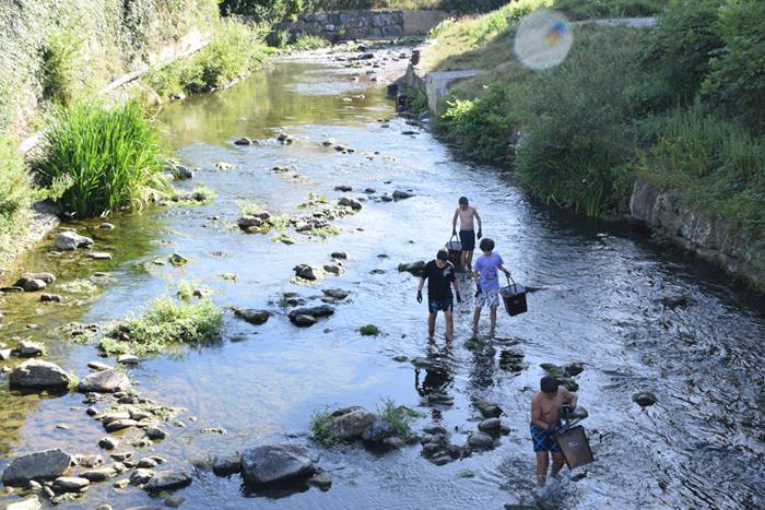 auzolana, ibarran 5 1499249937359