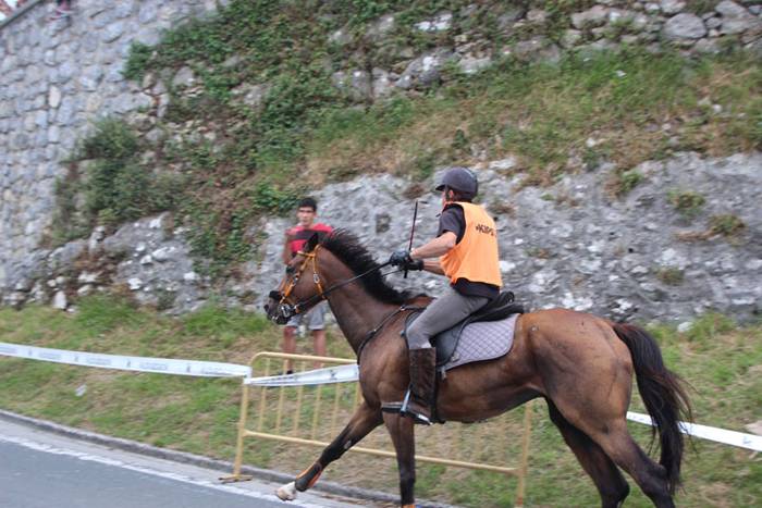 Zaldi gainean lasterka Abalt 27 1498413175486