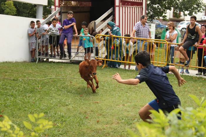 Ikaztegietako Jaiak 2017, um 8 1502457196400