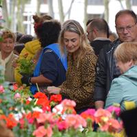 Lore eta landareen azoka