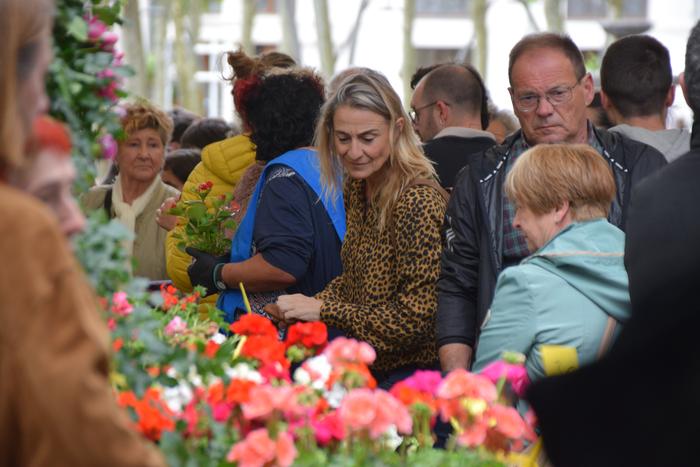 Lore eta landareen azoka