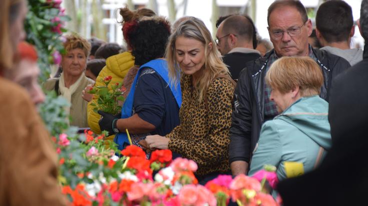 Lore eta landareen azoka