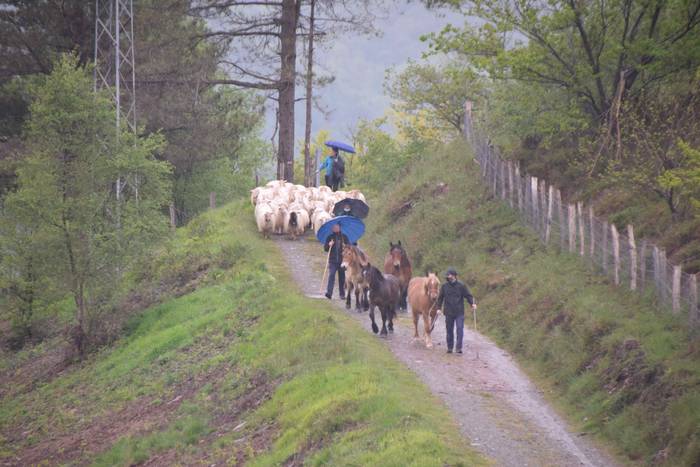 Larre irekiera Berastegi 202 2 1621072162102