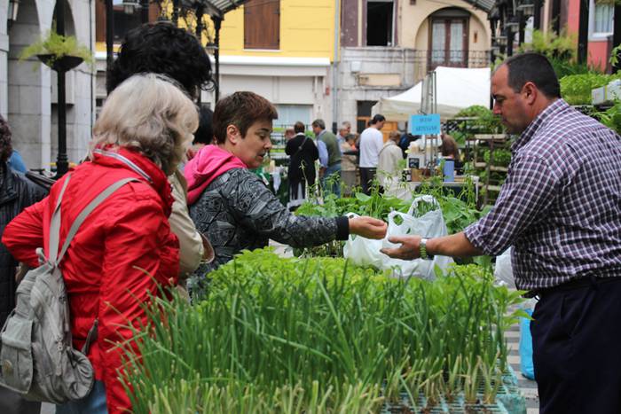 Lore eta Landare Azoka Tolosan 2016 9 1465051785323