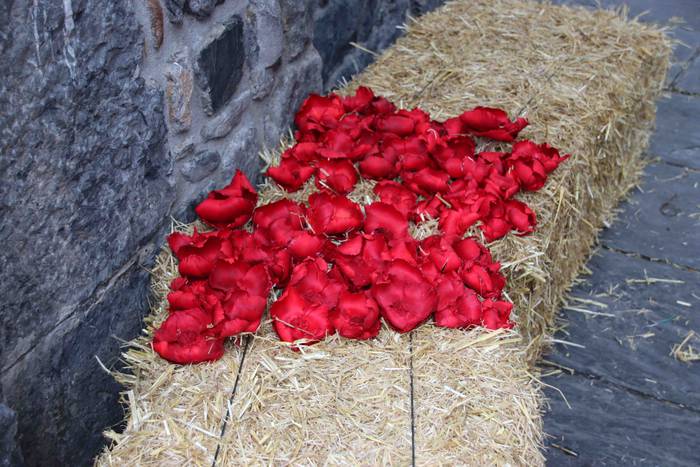 Lore eta Landare Azoka 2019 30 1558171910730