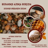 Bedaioko azoka berezia