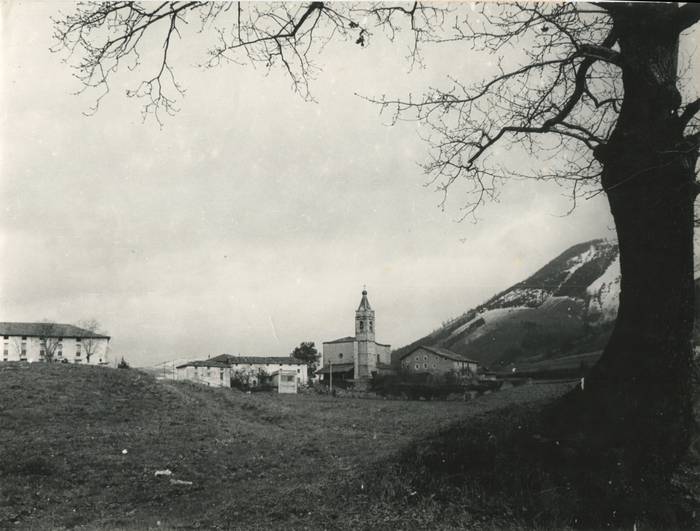 Ipuskuari lotuta